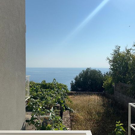 Apartments Blue Horizon Cavtat Ngoại thất bức ảnh