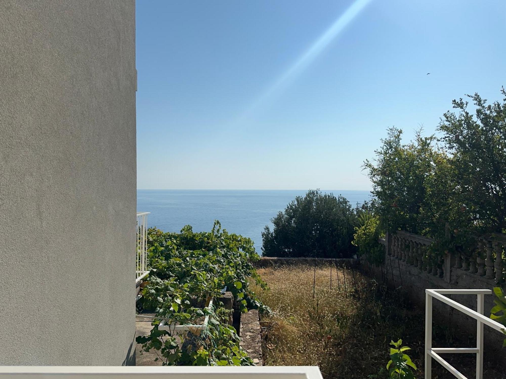 Apartments Blue Horizon Cavtat Ngoại thất bức ảnh